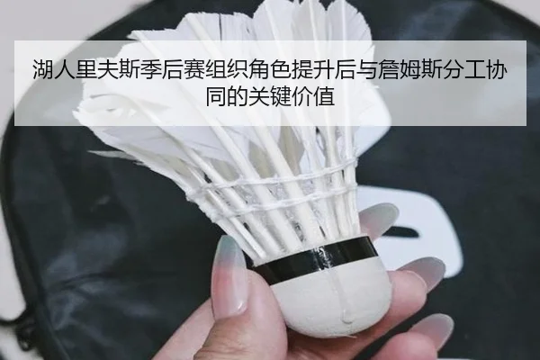 湖人里夫斯季后赛组织角色提升后与詹姆斯分工协同的关键价值