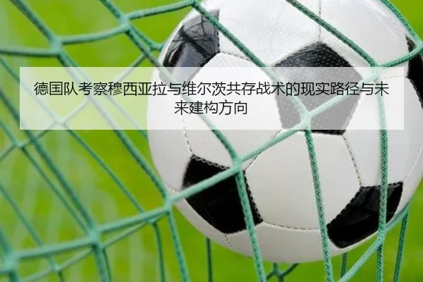 德国队考察穆西亚拉与维尔茨共存战术的现实路径与未来建构方向