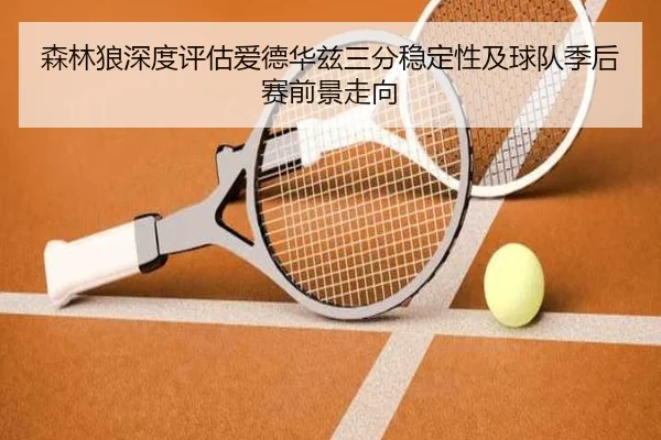 森林狼深度评估爱德华兹三分稳定性及球队季后赛前景走向